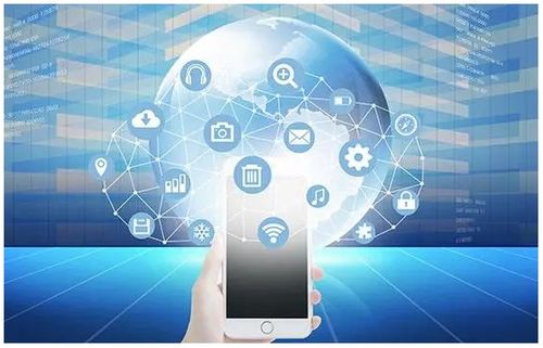 软件开发成果保护 策略与实践